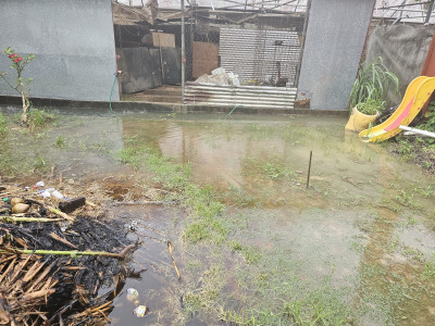 Just looking for help