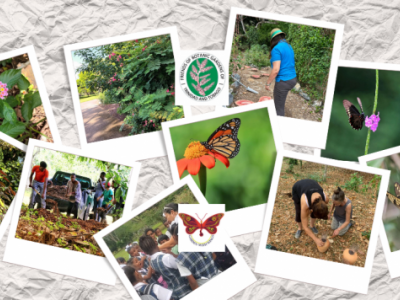 Friends of the Botanic Gardens Trinindad and Tobago (FOBGTT)