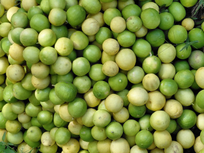 PEPPERS PLANTATION