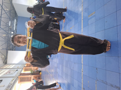 Martial Art World Championship (ICO)