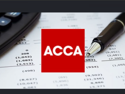 Help CeeCee Continue Her Accounting Journey