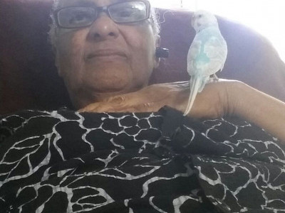 Help Save My Mom Please?