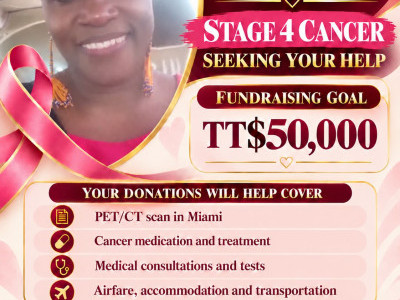 Help Carol Fight Stage 4 Breast Cancer and Access the Treatment She Needs .