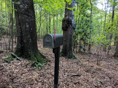 Mystical Mailbox  Treasure Hunt