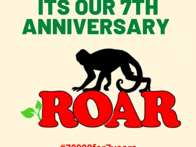 ROAR 7th Anniversary Fund Raiser