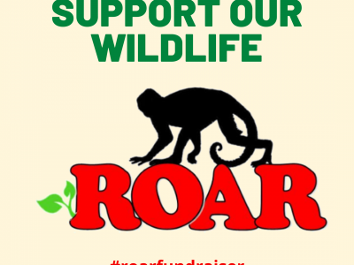 Support our Wildlife