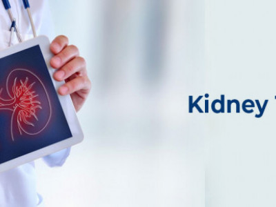 kidney needed for transplant