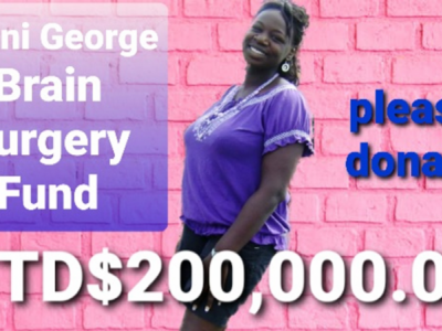 Penni George Brain Surgery Fund