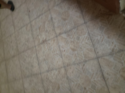 To get somewhere to live i am sleeping in a car