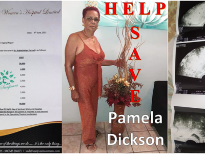 Save Pamela Dickson Fund