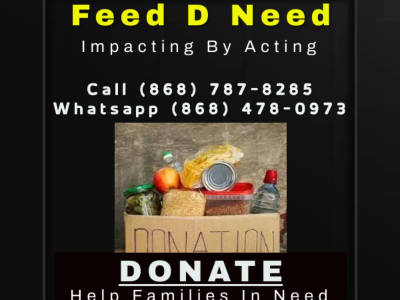 Feed D Need ( Non Profit) - Impacting By Acting