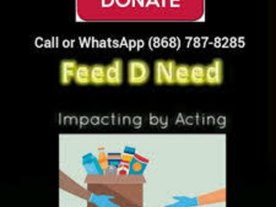 Feed D Need ( Non Profit) - Impacting By Acting