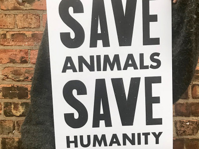 Save Animals