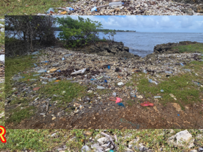 COASTAL CLEANUP