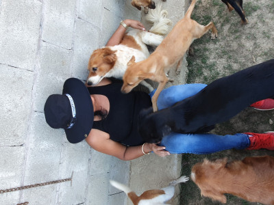 April's Fur Alive Shelter