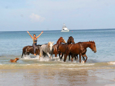 Support Healing with Horses Tobago