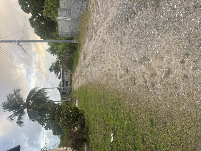 Paving roads in Valencia